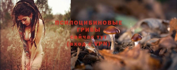 соль курить ск Алзамай