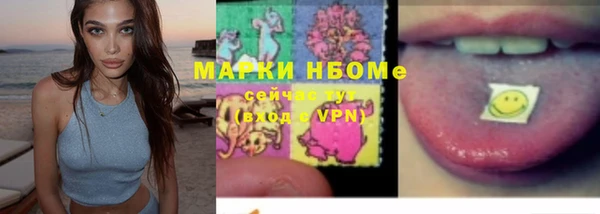 сатива Козельск