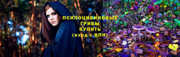 a pvp Алексеевка