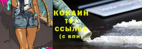 соль курить ск Алзамай